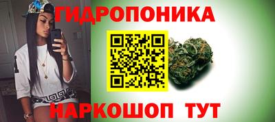 ПСИЛОЦИБИНОВЫЕ ГРИБЫ Кандалакша