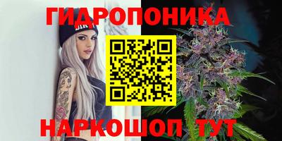 МДМА Камышлов