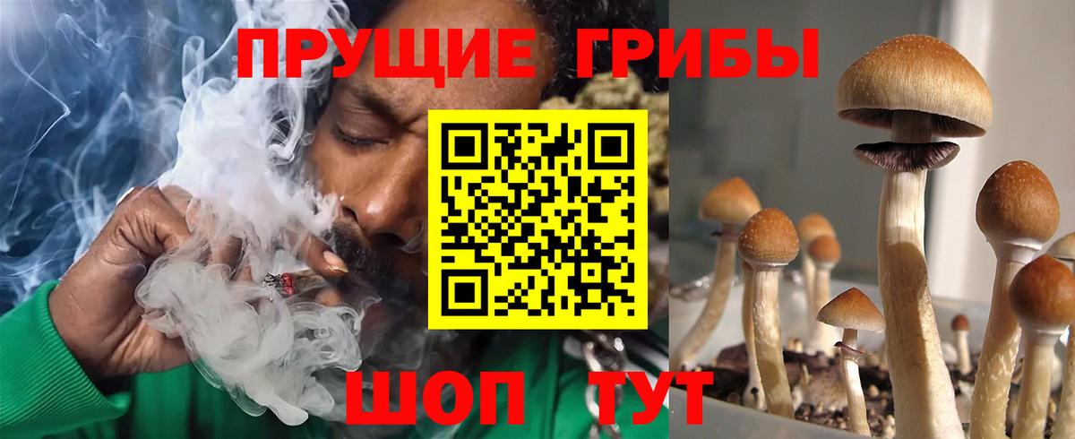 Нурлат  Псилоцибиновые грибы прущие грибы  Вход с VPN 